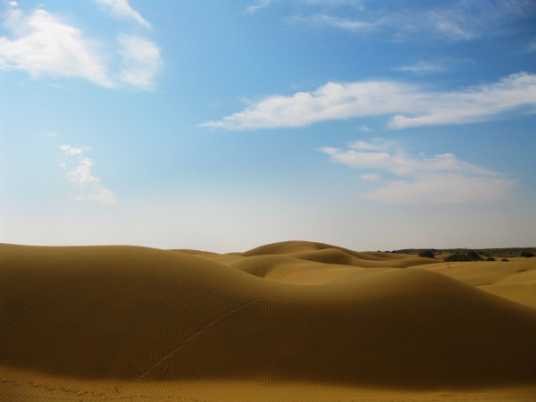 자이살메르에서 만난 거대한 모래언덕 듄.